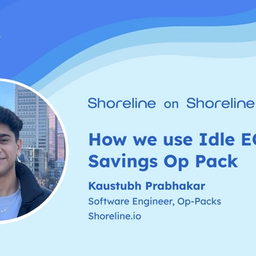 Shoreline on Shoreline: Idle EC2 Cost Savings Op Pack